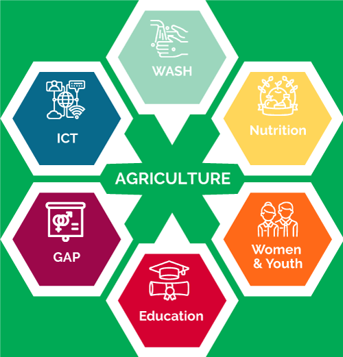 Development Programmes